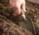Как можно ускорить рост огурцов в теплице