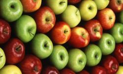 Sorte zimskih jabuka: fotografija s imenom i opisom